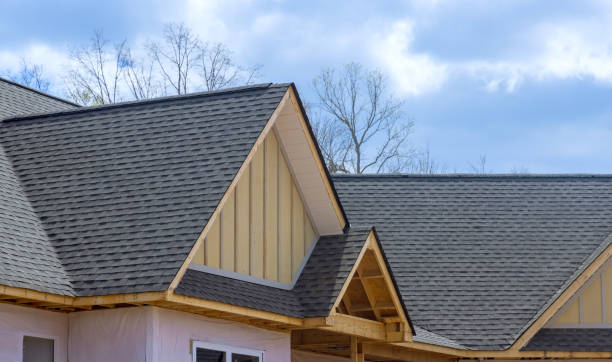 Best Asphalt Shingle Roofing  in Eerlin, ND